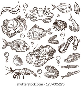 Pattern Sea Food. Hand-drawn Sketch In A Graphic Style. Vintage Engraving Illustration For Poster.