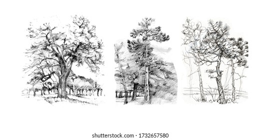 Nature Pencil Sketch High Res Stock Images Shutterstock