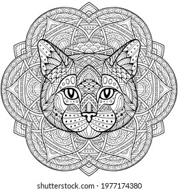 Patterned cat, kitty head in the zentangle style of a white background passing. Tribal ornament painted by hand. Coloring Cat. Series ethnic animals. African, Indian. Mandala. Ornament. Illustration