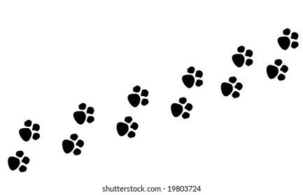 Paw Prints