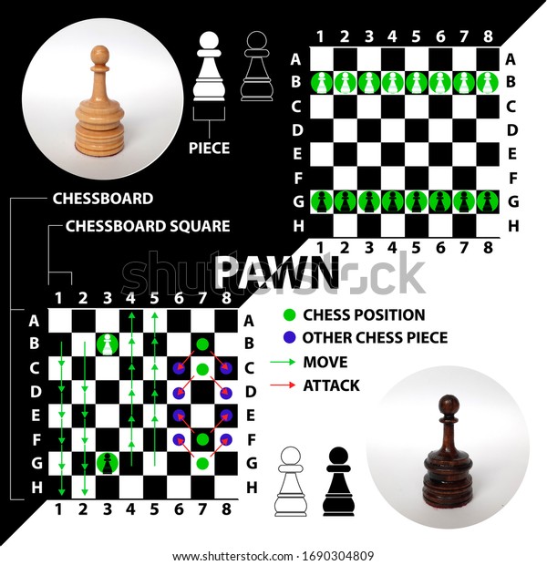 ポーン イラストやアイコンの形で作られたチェスの駒 チェスボード上の位置と移動の説明を含む白黒のポーン 初級チェス選手用の教材 のイラスト素材