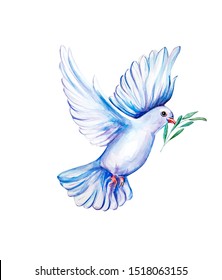 Watercolor Illustration Bird Dove Stock Illustration 266820419 ...