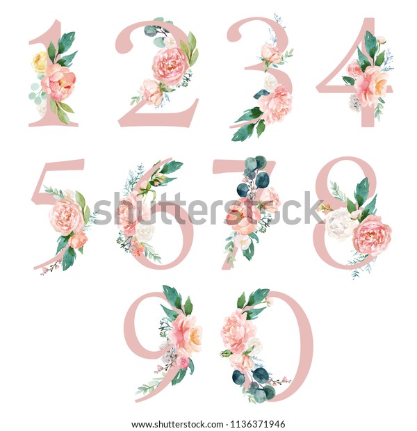 ピーチクリーム ブラッシュ花柄セット 数字1 2 3 4 5 6 7 8 9 0 花束組成 結婚式の招待のデコレーション 用のユニークなコレクション のイラスト素材