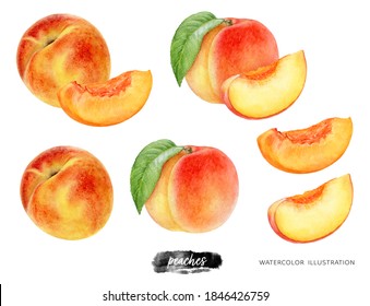 Peach Fruit Set Whole And Slice Watercolor Illustration Isolated On White Background