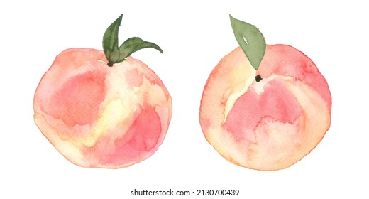 Peach Fruit Watercolor Collection, Hand Drawn And Painted, Isolated On White Background