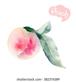 Peach Watercolor Illustration. Peach Fruit With Leaves Isolated On White Background.