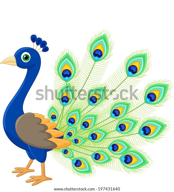 Peacock Cartoon Stock Illustration 197431640