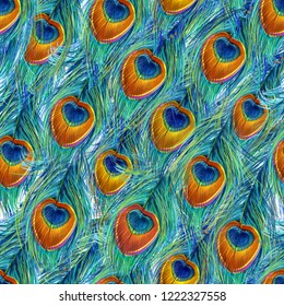 Peacock Feather Seamless Pattern. 