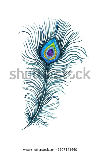 Peacock Feather Watercolor Stock Illustration 1107141440