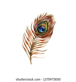 how to paint peacock feathers