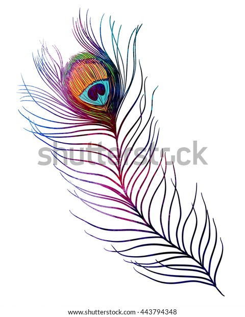 Peacock Feather Watercolor Textured Illustration On Stock Illustration 