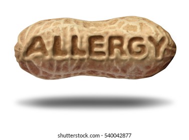 Peanut Allergy Symbol And Allergic Risk Concept Or Nut Allergies As A Medical Icon With Text Embossed In A Shelled Ingredient As An Allergen Warning With 3D Illustration Elements.