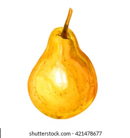 Pear Fruit Watercolor (European Pear)