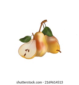 Pear isolated on white background. Illustration 300 DPI