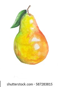 Pear Watercolor