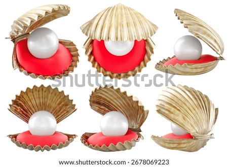 Pearl oyster set, seashell with pearl different angles. 3D rendering isolated on white background