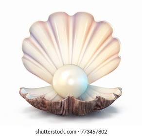 白い背景に真珠の殻 3dイラスト のイラスト素材 Shutterstock
