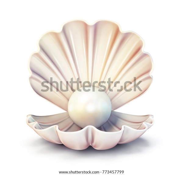 白い背景に真珠の殻 3dイラスト のイラスト素材