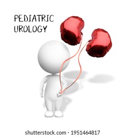 Pediatric Urology, Photo Ilustration, Kidneys Balloons, 3D Illustration