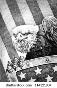 A pencil drawing the American bald eagle and shield the flag the United States America in the background 