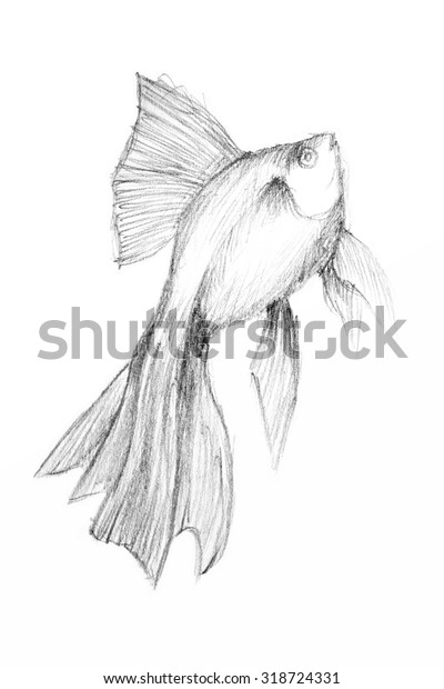  Fish Drawing Paper