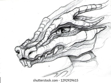 Pencil Drawings Of Dragons Images Stock Photos Vectors