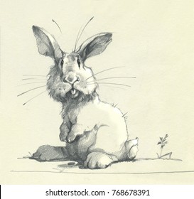 Animal Pencil Sketches Images Stock Photos Vectors Shutterstock