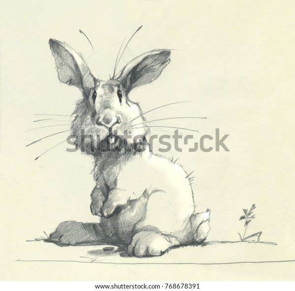 Pencil Drawing Funny Cartoon Character Rabbit Stock Illustration