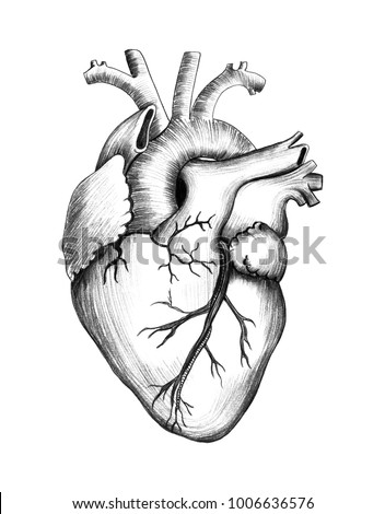 Royalty Free Stock Illustration Of Pencil Drawing Heart Realistic