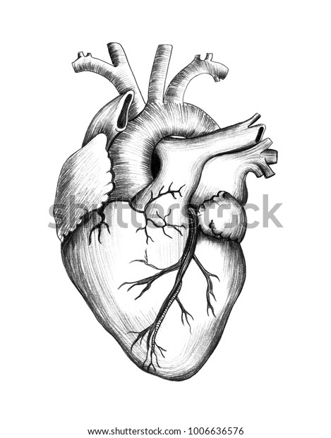 Pencil Drawing Heart Realistic Illustration Stock Illustration 1006636576