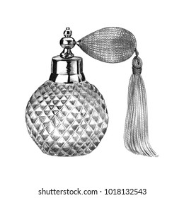 Pencil drawing illustration of perfume bottle
