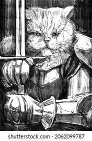 Pencil drawing of the knight of the cat, he has a big fluffy head and a sad look, he is an experienced warrior with scars, holds a sword ready, he wears plate armor 2d illustration