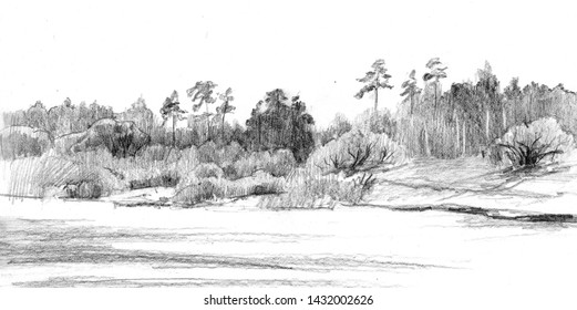 Pencil Drawing Of A Landscape Of A Pine Forest And Bushes Near The River