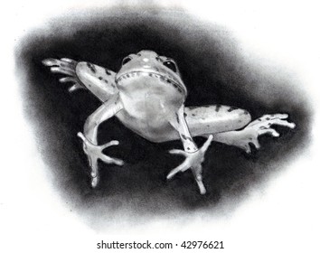 Pencil Drawing Leaping Frog Stock Illustration 42976621 | Shutterstock