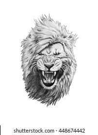 Pencil Drawing Of A Lion Head Isolated On White Background