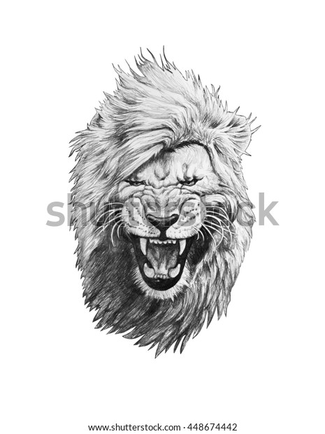 白い背景にライオンの頭の鉛筆画 のイラスト素材