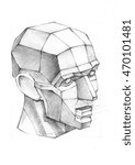 Pencil drawing a plaster head