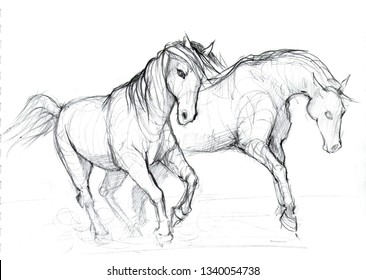running horse drawing in pencil