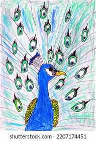 A Pencil Hand Drawing Of A Peacock