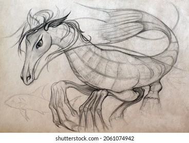 A pencil sketch fantasy creature hyppocampus  pen paper