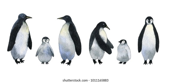 Royalty Free Baby Penguin Images Stock Photos Vectors Shutterstock