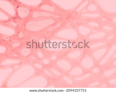 Pensil Image. Network Spiral Pattern. Scrawl Pensil Illustration. Medical Fractal Texture. Neuro Swirled Artwork. Blurred Blood System Vessel Art. Digital Picture. Abstract Ornate Sketch.