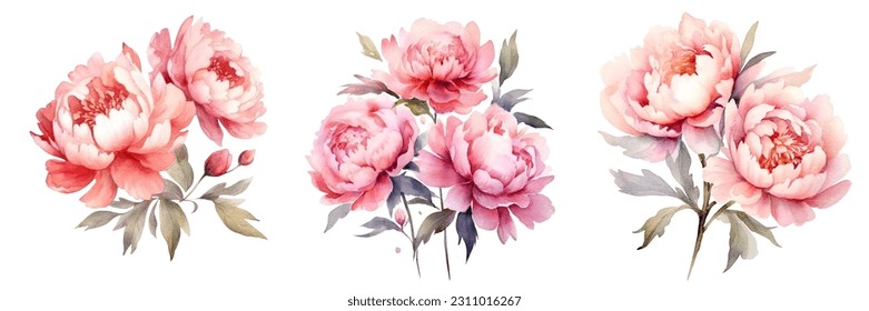 Color agua Peonies Ilustración