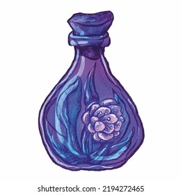 Peony Flower Inside A Bottle In Skechy Hand Draw Style. Vintage Purple Witch Floral Potion On White Background Magic Ico