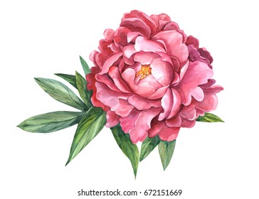 17,050 Big peonies Images, Stock Photos & Vectors | Shutterstock