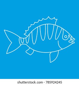 Perca Fluviatilis Icon Blue Outline Style Isolated  Illustration. Thin Line Sign