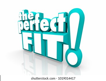 The Perfect Fit Words Ideal Candidate Great Choice 3d Illustration