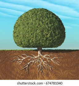 A Perfect Tree With Green Leaves In The Shape Of Sphere With Roots Underground. This Is A 3d Render Illustration