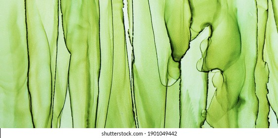Peridot Green Abstract Alcohol Ink. Flowing liquid shapes. Beautiful green layers and drips. Translucent Peridot green.
