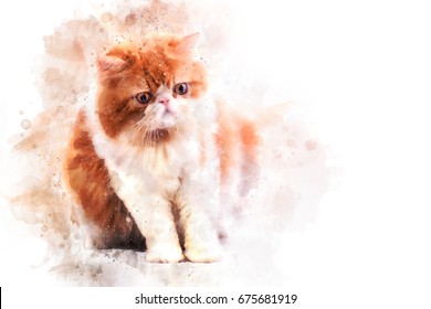 Persian Cat On White Background Water Color Filter,